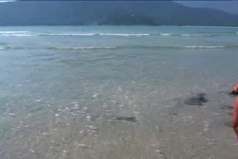 Brazilian teens On The Beach
