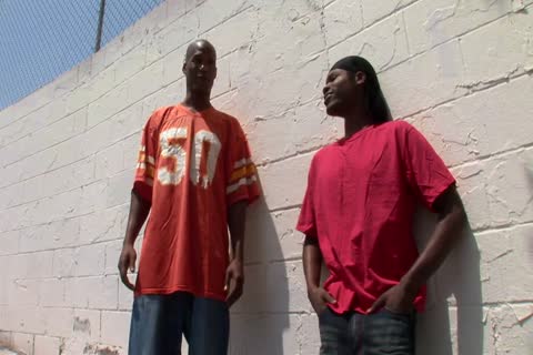 dark lad Gives Sloppy bj To His Partner before They poke