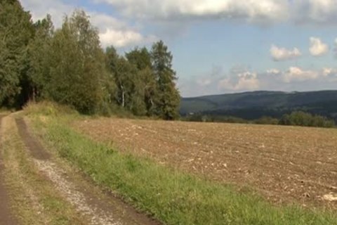 Outdoor homosexual Sex between Two young males