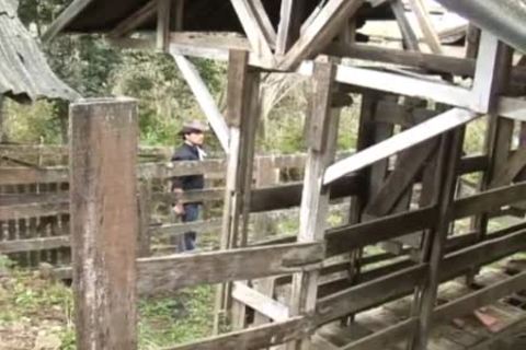 sleazy Cowboys Take Turns from behind On The Farm