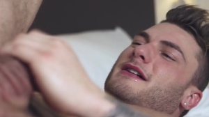 Top To Bottom : William Seed - William Seed brutaly Hump