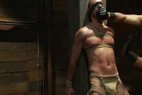 slavemaster In Training