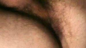 Falcon Studios: Car-Sex Chronicles