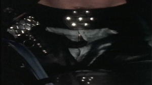 Falcon Studios: Biker Stud's Secret Toy Collection