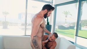 Bromo: Floor-to-Ceiling Windows: A Backdrop for Wild F**king