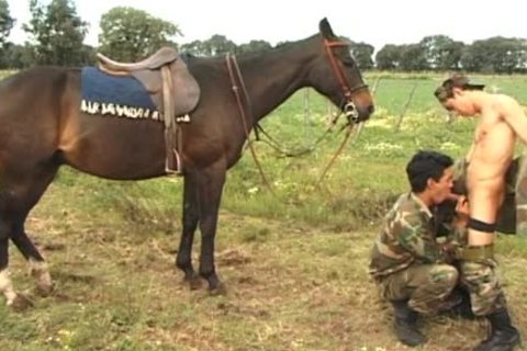 This horse won't ask and that guy can't tell